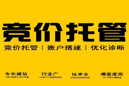 某公司如何利用SEO和SEM提升线上业务——真实案例分析
